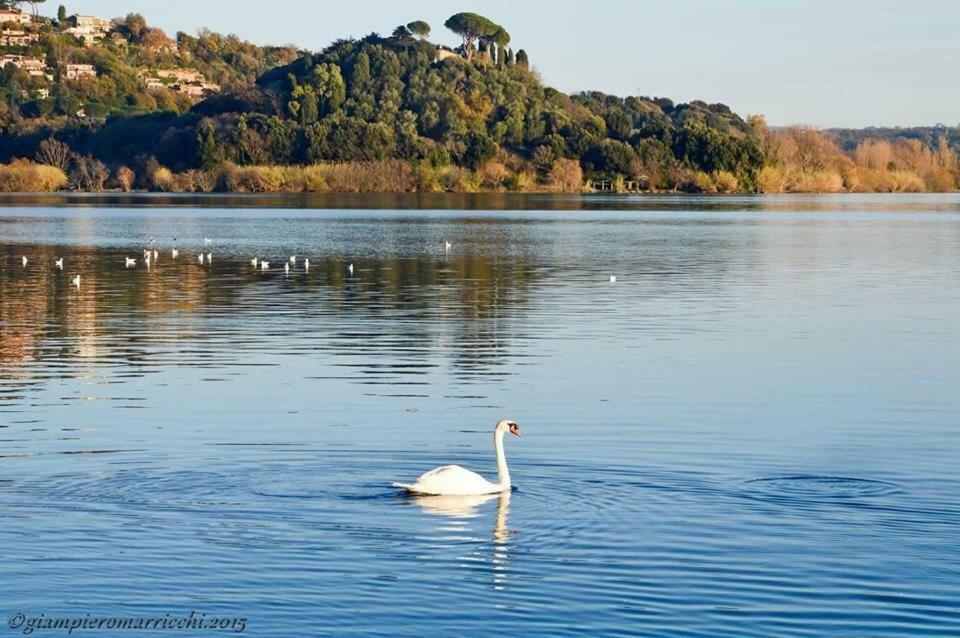 Pepe Apartment -Lago Di Bracciano Trevignano Romano Exterior foto